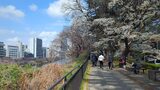 外濠公園