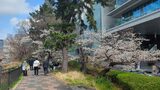 外濠公園