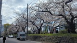 外濠公園