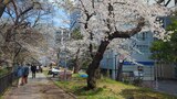 外濠公園