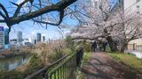 外濠公園