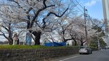 外濠公園