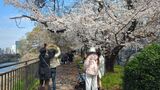 外濠公園