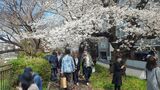 外濠公園