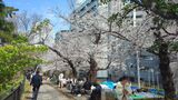 外濠公園