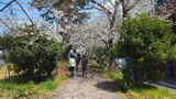 外濠公園