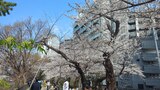 外濠公園
