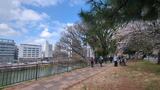外濠公園