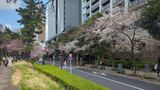 外濠公園