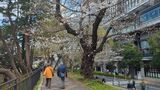 外濠公園