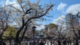 靖国神社