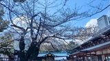 靖国神社