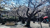 靖国神社