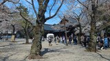 靖国神社