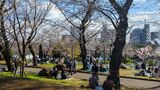 飛鳥山公園