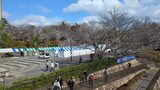飛鳥山公園