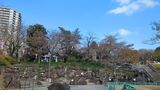飛鳥山公園
