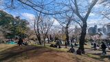 飛鳥山公園