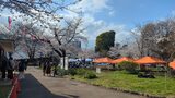 飛鳥山公園