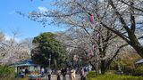 飛鳥山公園