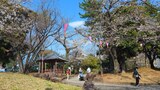 飛鳥山公園