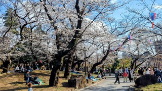 PHOTO 飛鳥山公園#2