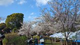 飛鳥山公園