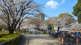 飛鳥山3つの博物館