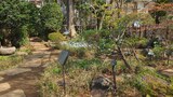 林芙美子記念館