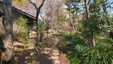 林芙美子記念館