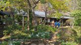 林芙美子記念館