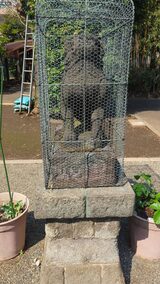 中井御霊神社