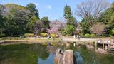 哲学堂公園