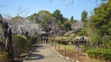 哲学堂公園