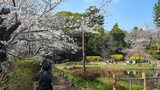哲学堂公園