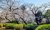哲学堂公園