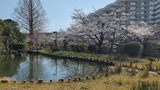 哲学堂公園