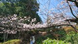 哲学堂公園