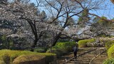 哲学堂公園