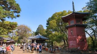 PHOTO 哲学堂公園#1