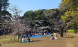 哲学堂公園