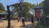 哲学堂公園