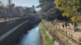 哲学堂公園