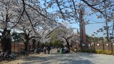 哲学堂公園