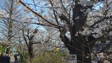 哲学堂公園
