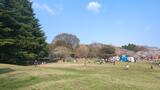 光が丘公園