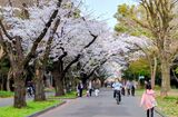 光が丘公園