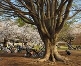 光が丘公園