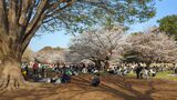 光が丘公園
