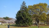 光が丘公園